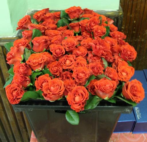 День Рождения поселка Озерки image 1